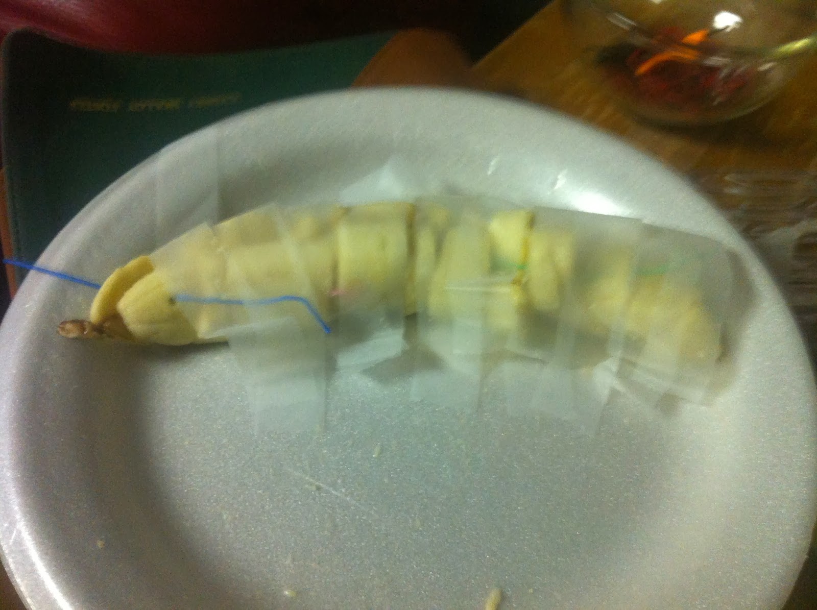 Get Up and Go 2015 Banana Surgery