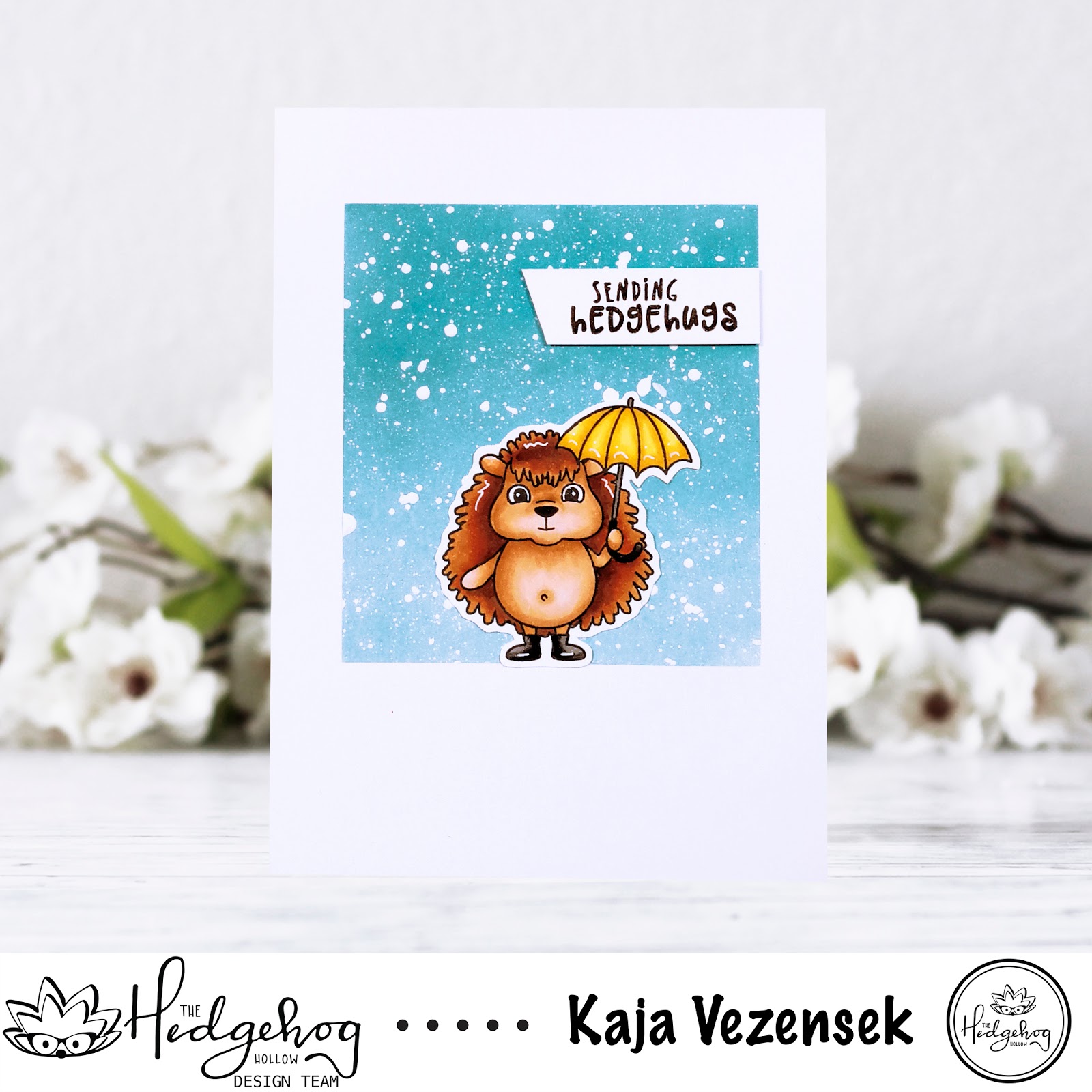A hedgehog | The hedgehog hollow A hedgehog | The hedgehog hollow