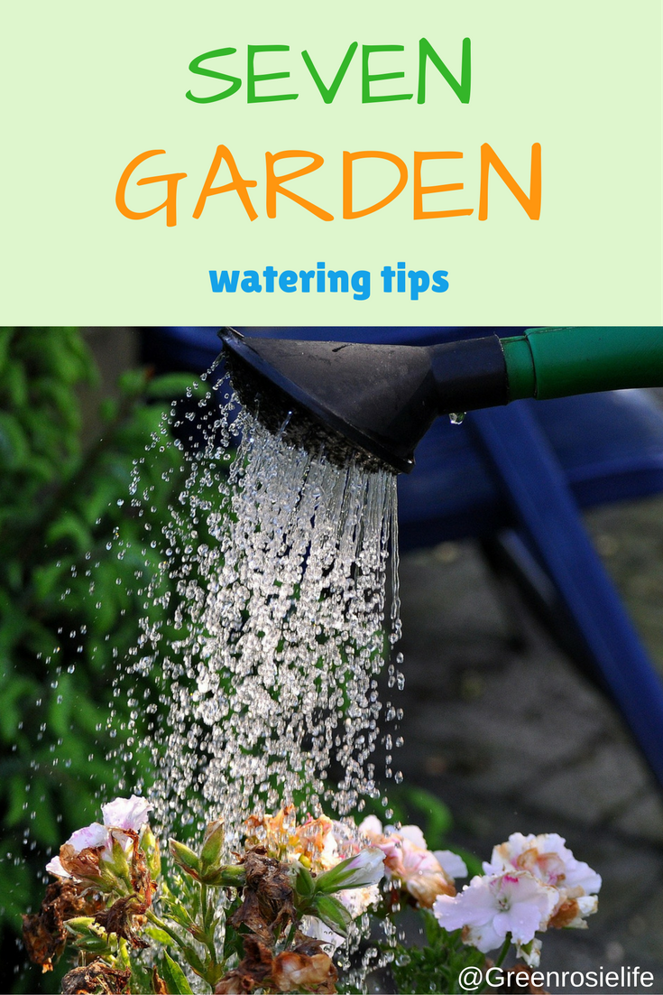 A Green and Rosie Life Weekly Green Tips 7 Garden Watering Tips