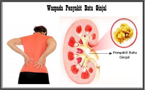 https://4.bp.blogspot.com/-HtePdisAd4E/WaD8WE0CjWI/AAAAAAAAAMY/kuAZmdU6JtAIIk_Kn_7GQmpYNTr7E0jowCLcBGAs/s1600/batu%2Bginjal%2Bampuh.jpg