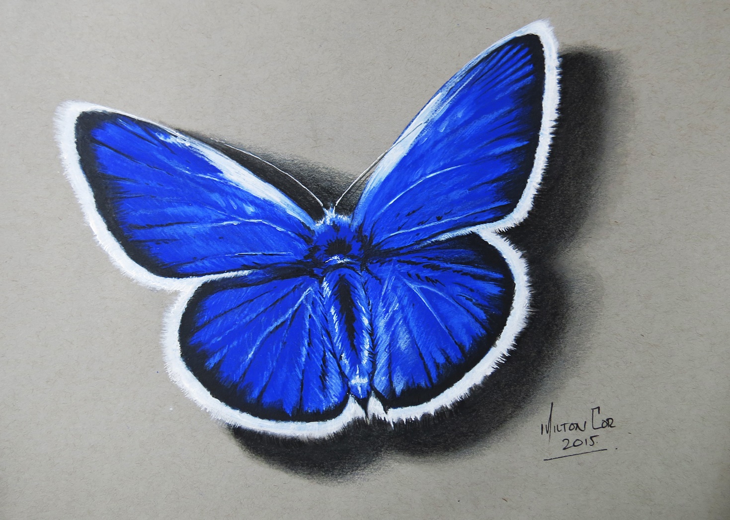 Butterfly drawing pencil art drawings art art drawings sketches creative ar...