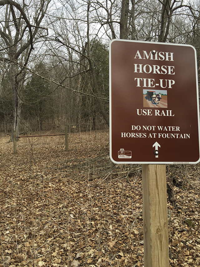 Amish Horse Tie Up at the Wildcat Canoe Launch