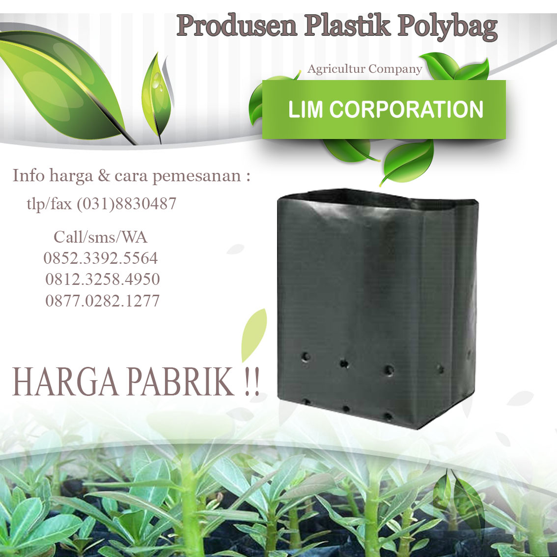Harga Polybag harga polybag murah untuk agrobisnis kualitas dan Harga Polybag harga polybag murah untuk agrobisnis kualitas dan