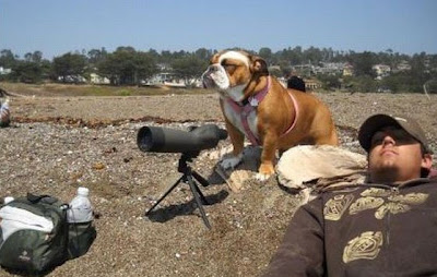 Everything: Jada Fire