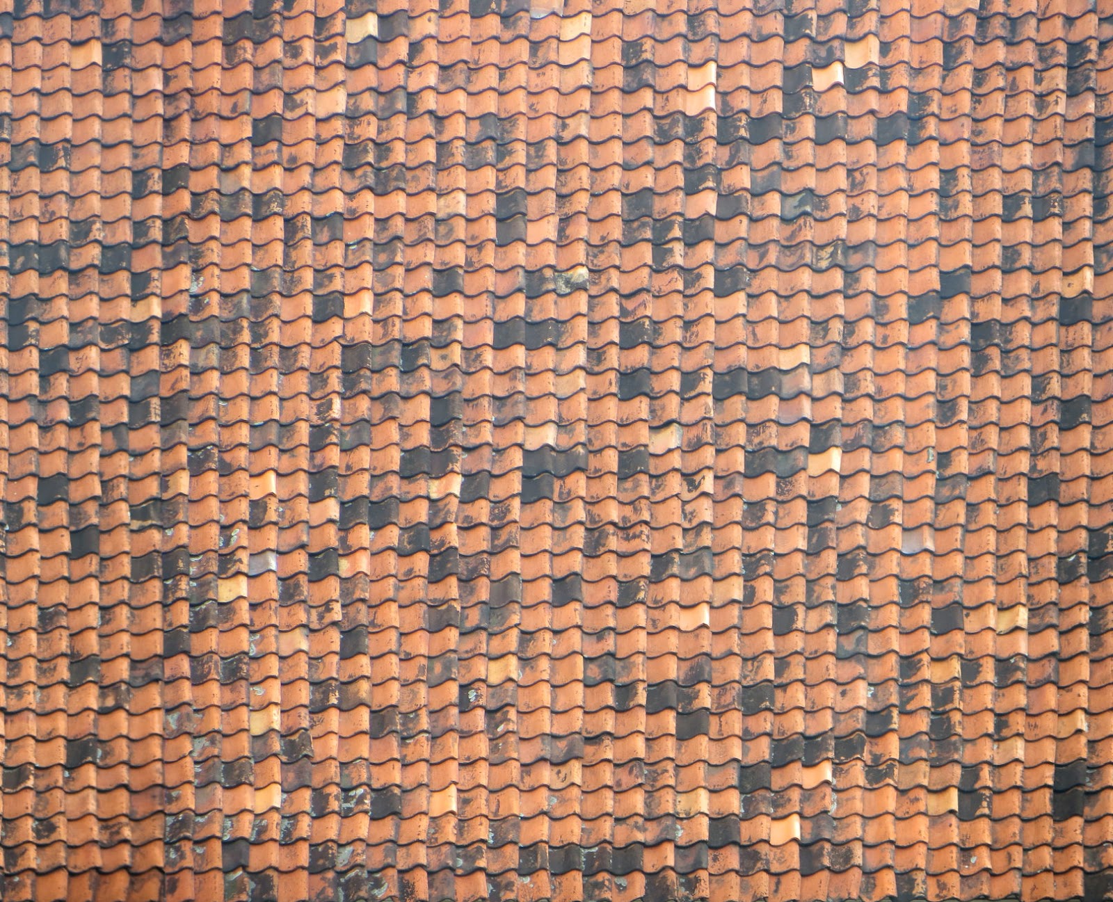 SWTEXTURE Free Architectural Textures Old Roof Tiles swtexture-free-architectural-textures-old-roof-tiles