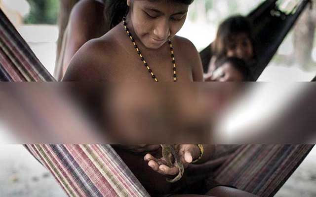 Women in the community who breastfeed their own wildlife যে সম্প্রদায়ের নারীরা বন্যপ্রাণিকে নিজেদের বুকের দুধ পান করান