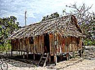 The World39s Best Photos of amazon and nature   Flickr Hive Mind