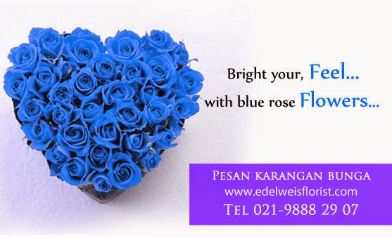 Bunga Mawar Biru, Blue Rose