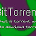 What is Torrent and how to use U Torrent