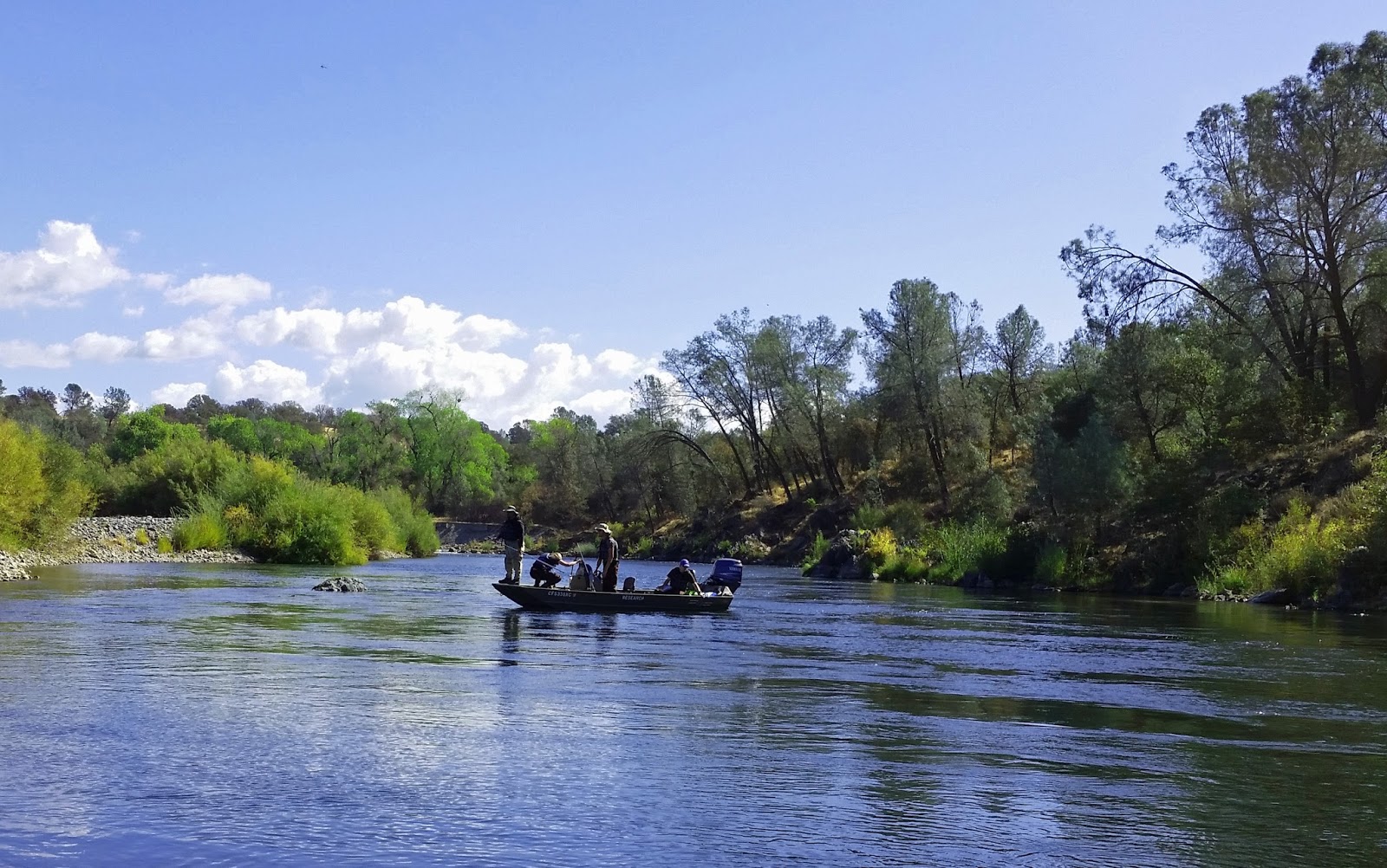Jon Baiocchi Fly Fishing News Lower Yuba River Update 10/18/16 The