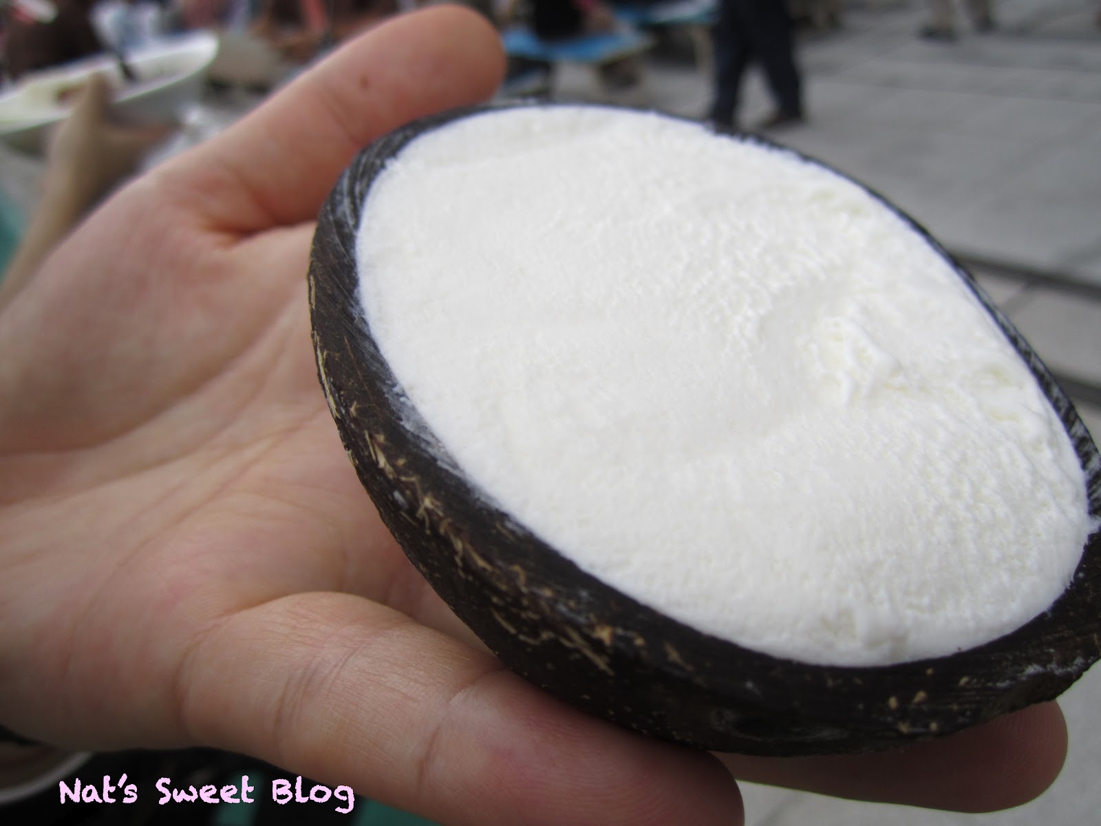 JAPANESE SWEETS BLOG Lotte's Coconut Icecream