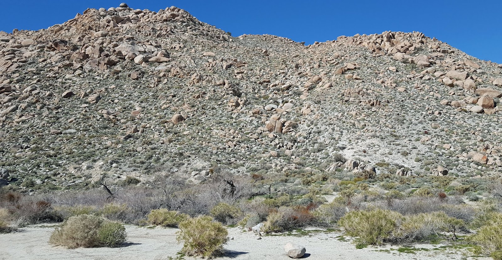 Dos Cabezas Spring Anza Borrego Desert ARMCHAIR HIKER SAN DIEGO