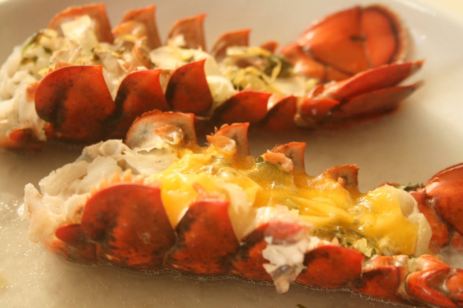 Baby Girls Diary Baked lobster tail