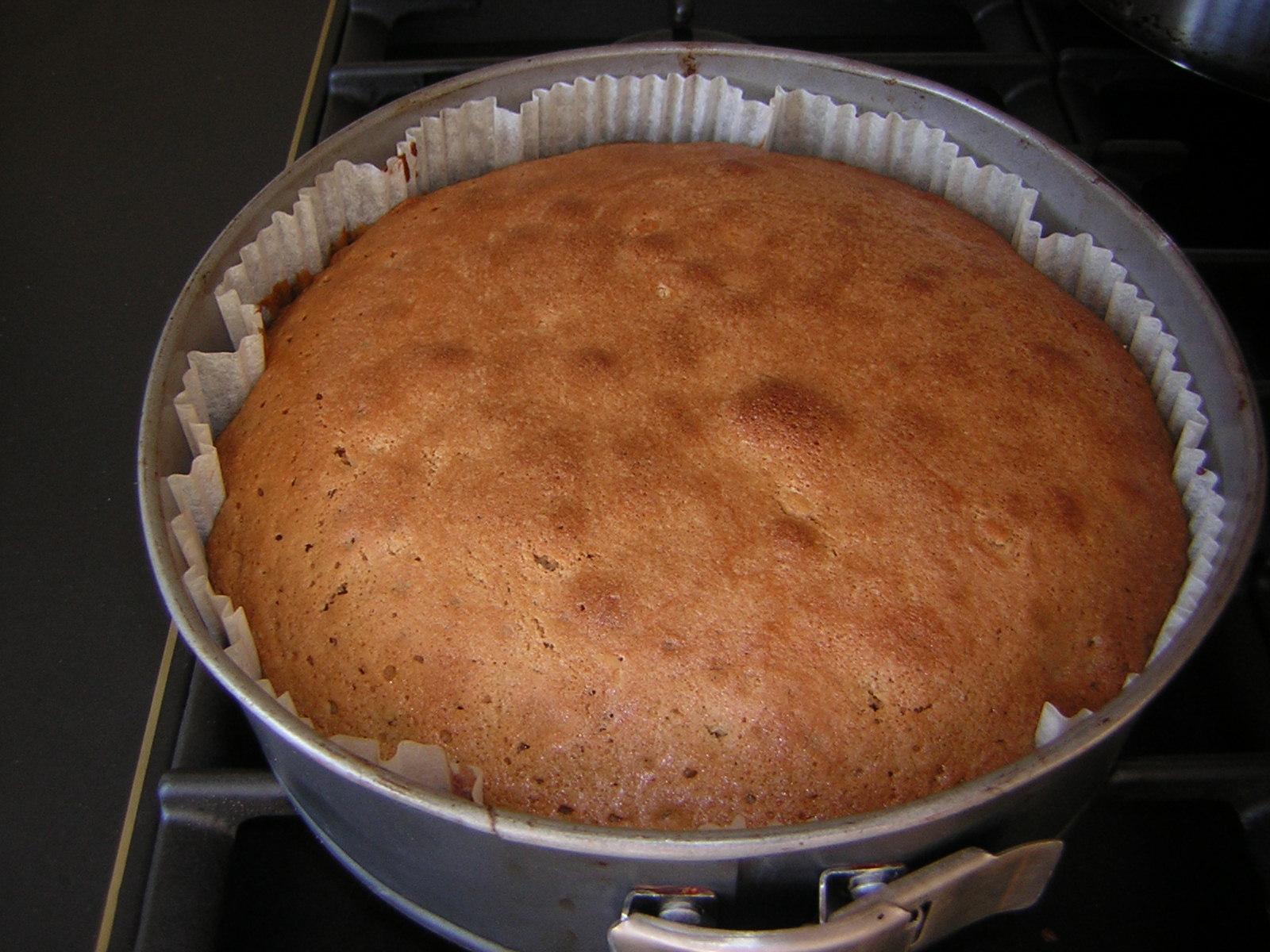 Сколько выпекать торт. Форма для бисквита. Бисквит до и после выпекания. Остудить бисквит в форме. Торт из батона.