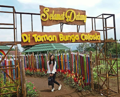 Tiket Masuk Taman Bunga Celosia Bandungan Semarang