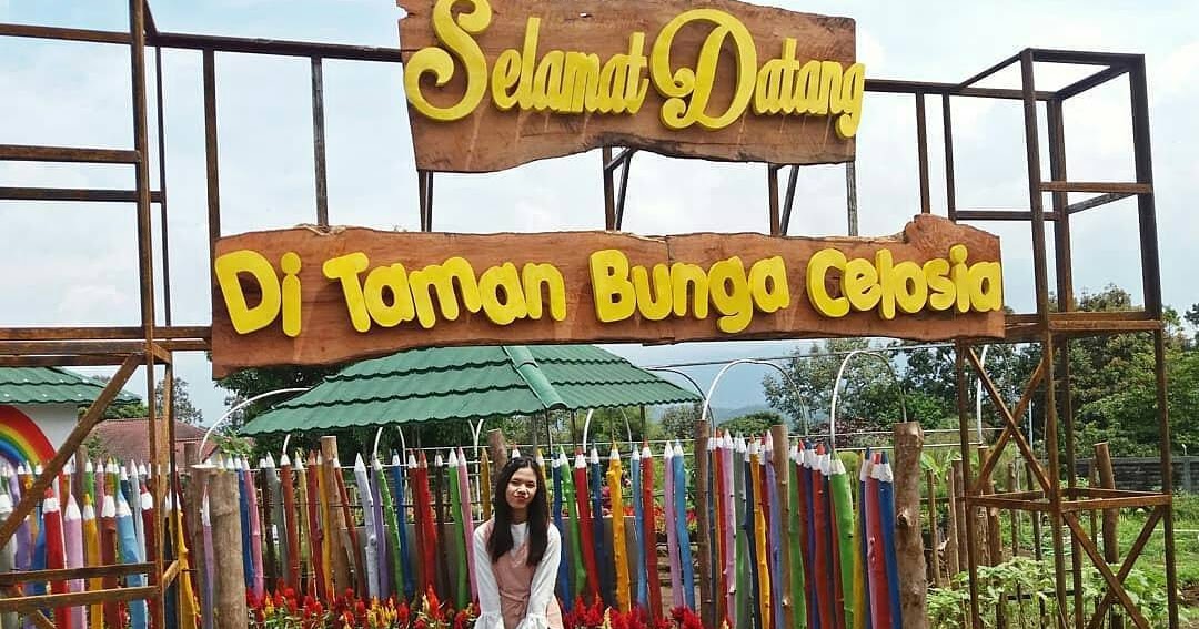 Konsep Populer Gambar Taman Bunga Celosia, Gambar Taman