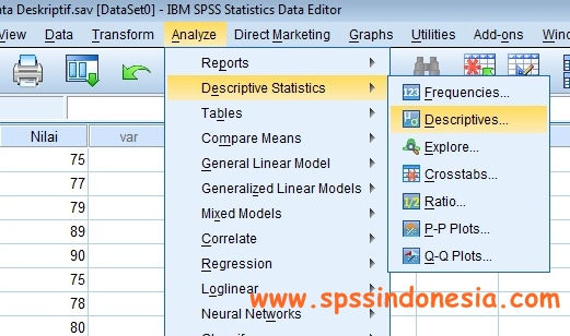 Cara Melakukan Uji Statistik Deskriptif dengan Software SPSS