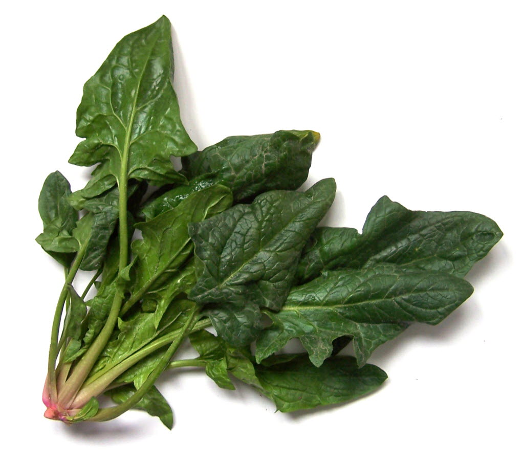 the Old Curiosity Shop: Spinach:Full of Surprises