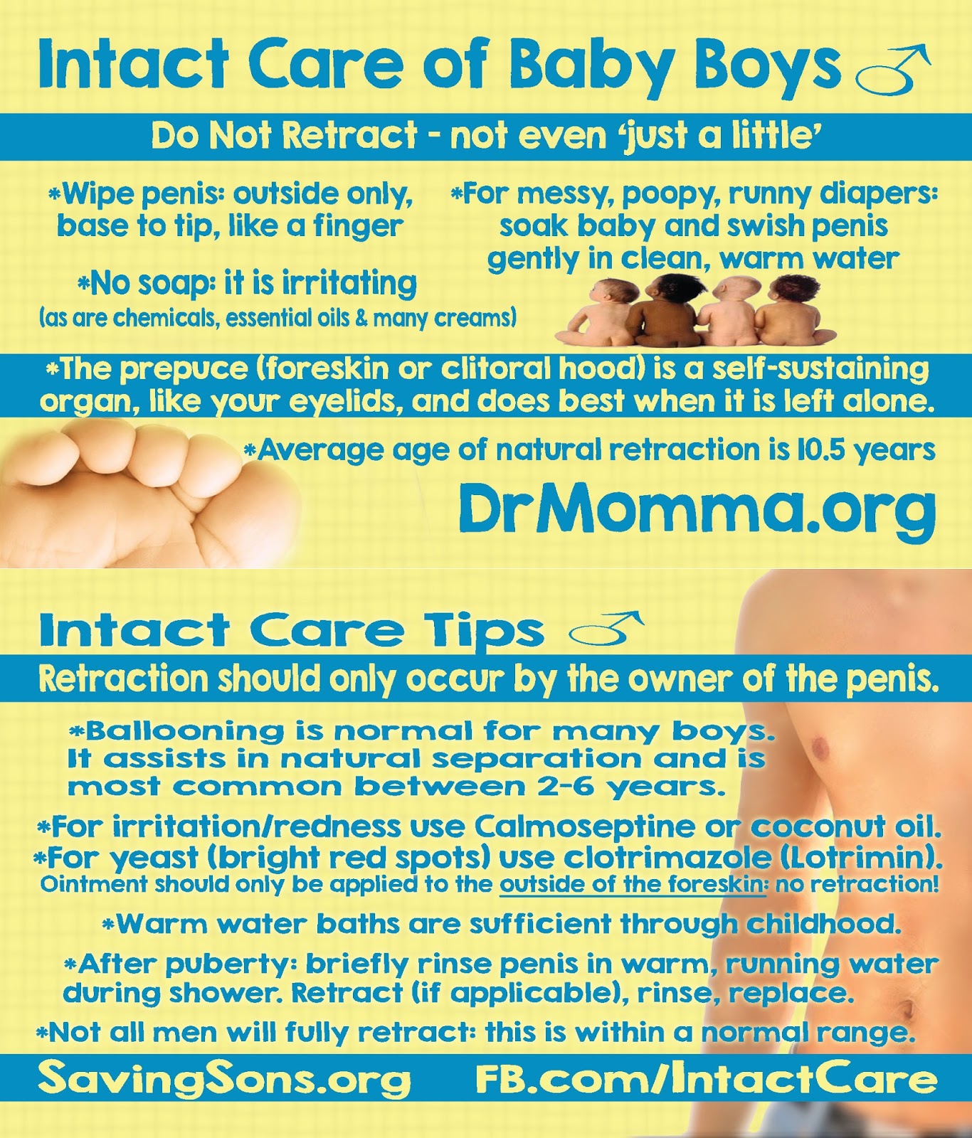 Peaceful Parenting Basic Care Of The Intact Child