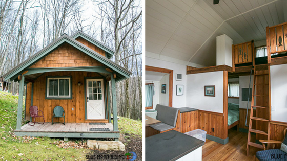 Tiny House Town The Sugar Magnolia Of Blue Moon Rising