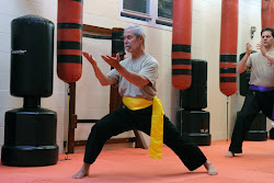 martial arts bruce mccorry adults depressed diseases patients often isolated feel lifestyle