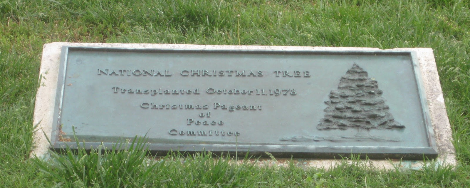 Detritus of Empire The National Christmas Tree