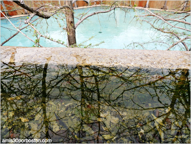 Fort Worth Water Garden: Quiet Water Pool