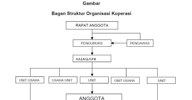 Organisasi Koperasi
