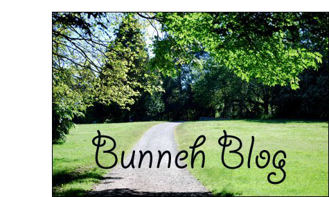 Bunneh Blog