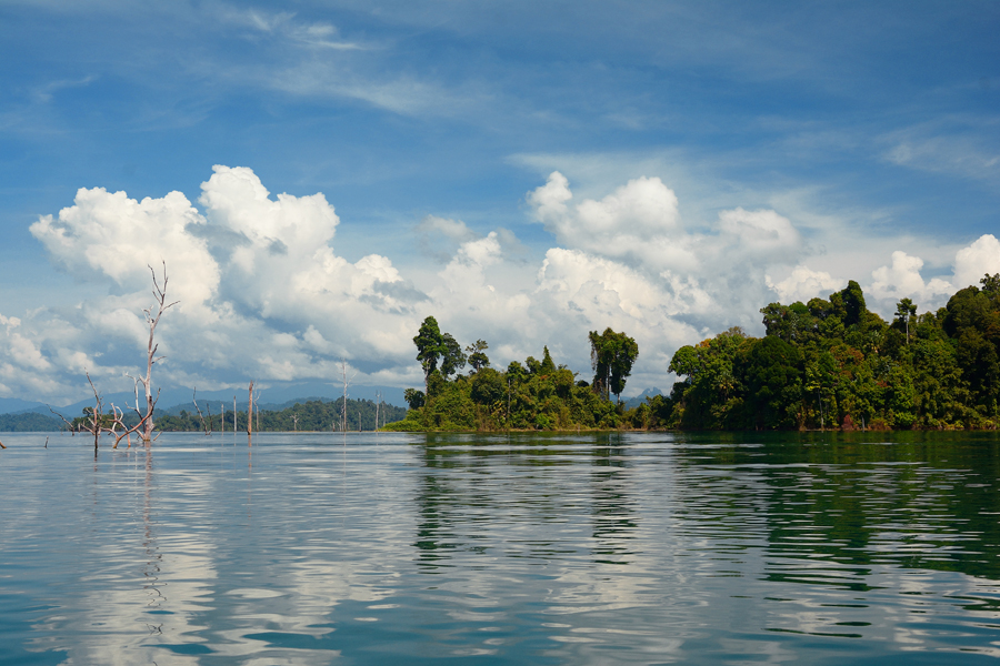 dżungla khao sok, tojlandia dżungla khao sok, tojlandia