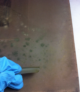 treatment of mold on paper by professional art conservator, paper conservation, mold on pastels, mould on art, paper Mold removal from paper, pastel art, mould on art work, conservation of paper, Spicer Art Conservation