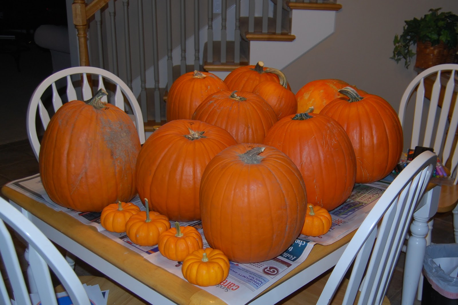 Erratic Project Junkie Pumpkin Preview 1 Starting the Prep Work