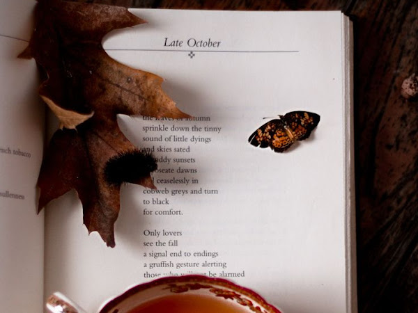 Eyvind earle художник картины. Late october. Late october. летенские сады вид осень. джон эткинсон картины.