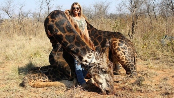 Estallan contra cazadora que mató a una jirafa negra en Sudáfrica Tess Thompson Talley