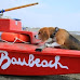 BAUBEACH, il 1° maggio riapre la prima spiaggia attrezzata per cani liberi e felici d'Italia