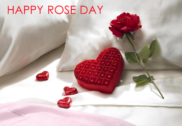 rose day images happy rose day wallpapers rose day images download rose day images hd happy rose day hot happy rose day status rose day images with quotes rose day wallpaper download happy rose day shayari