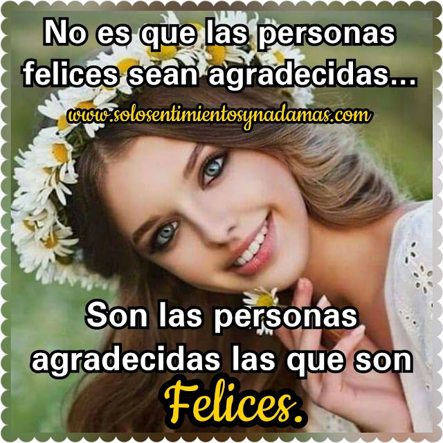 Frases de felicidad.