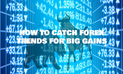 How to catch a trend in forex
