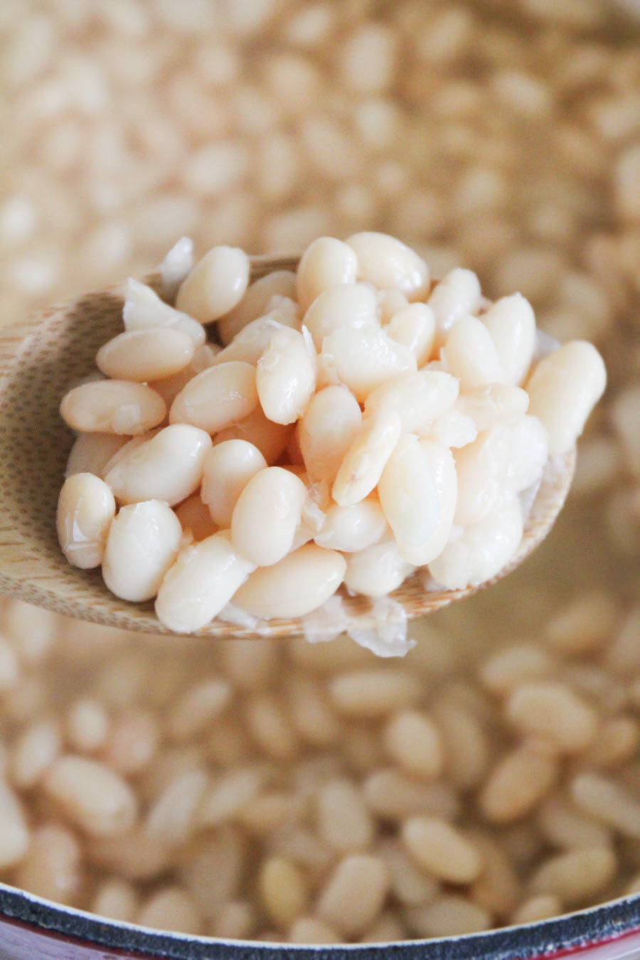 Cooking with dried beans is simple and easy, and a great way to save money in the kitchen!
