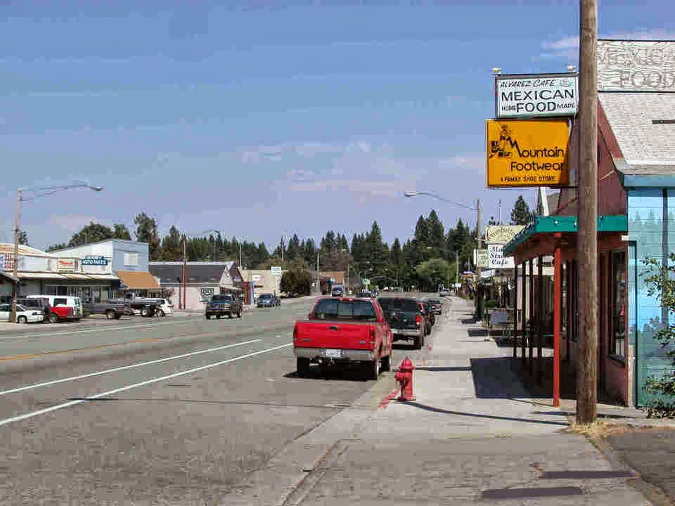 Streams of Unconsciousness The Burney Boy or Remembering an Old Friend