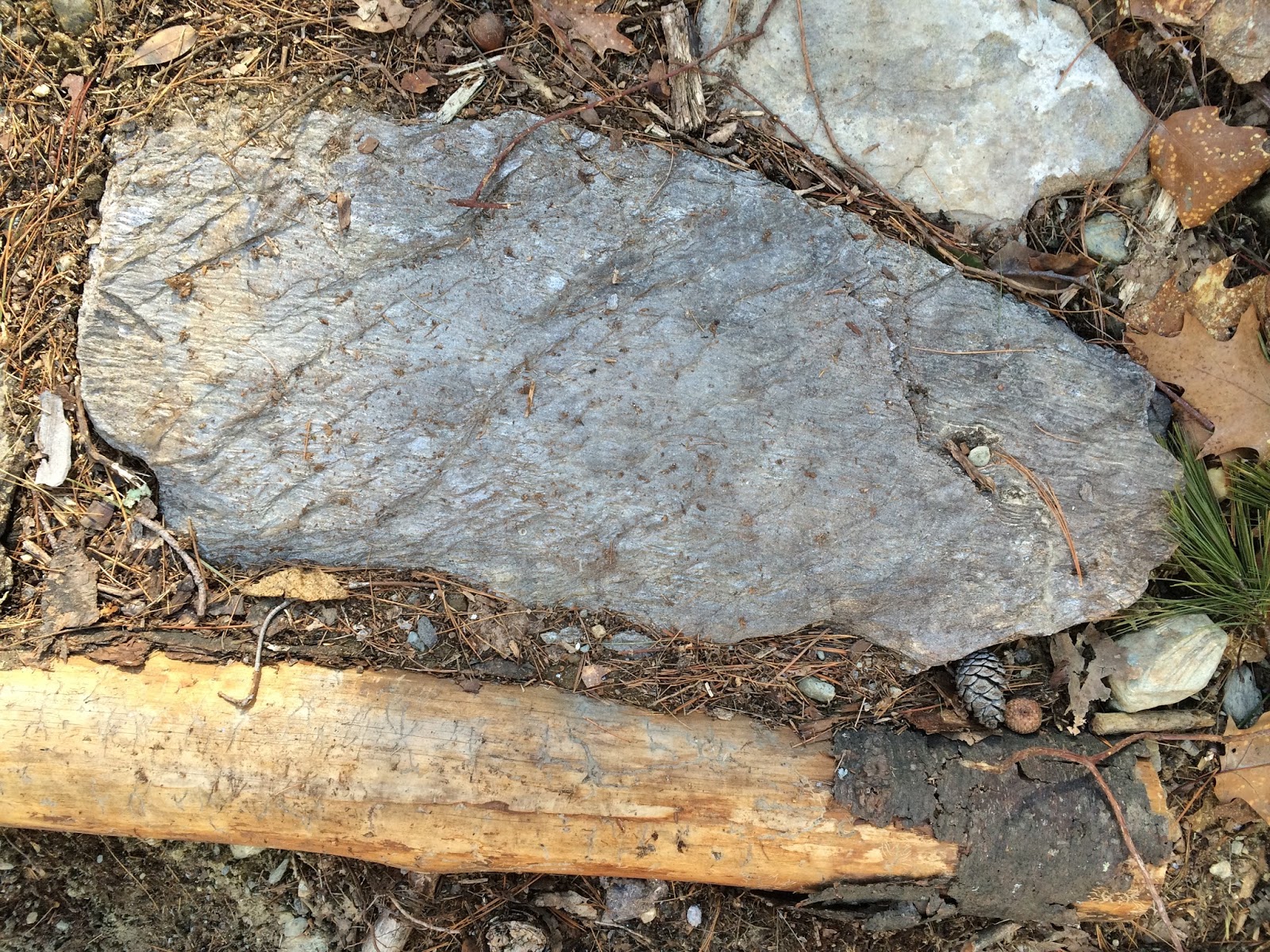 The Geology of Disc Golf Coggshall, Fitchburg MA