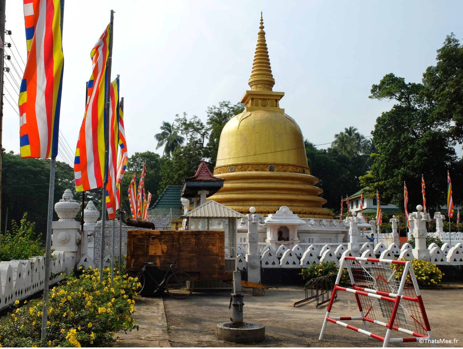 Stupa dorée Bouddhiste Temple de Dambulla au Sri-Lanka