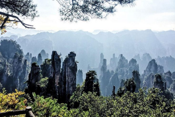 Taman Nasional Zhangjiajie Taman Nasional Zhangjiajie