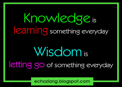 Knowledge is learning something everyday. Wisdom is letting go of something everyday.