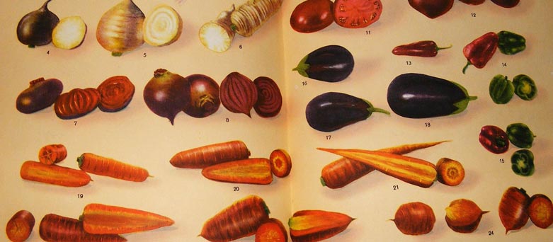 Pages from Book Soviet Cooking | Almost forgotten recipes | 1955 Edition
