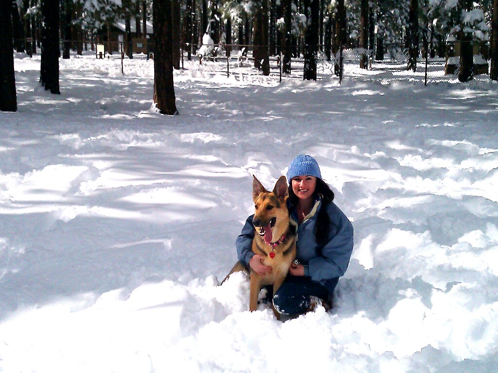 Bring the Dog, AZ! A Guide to Arizona Trails, Dog Parks, and So Much