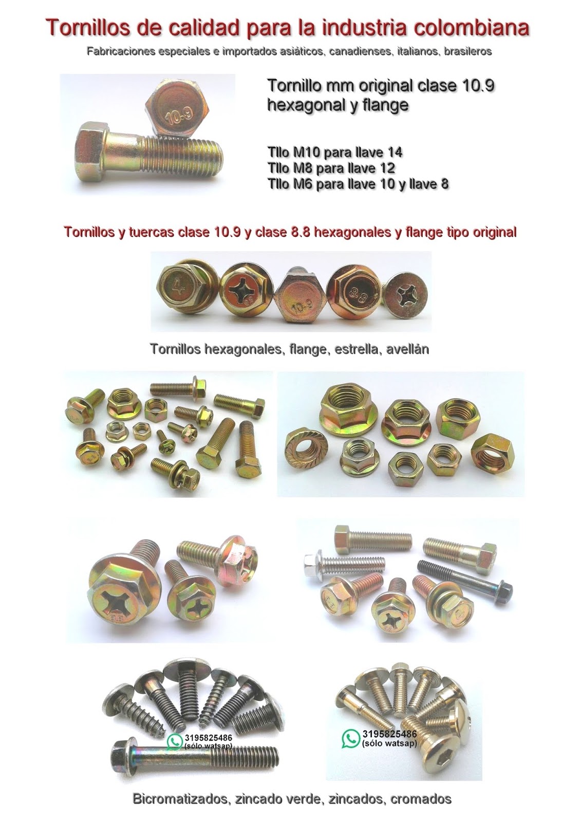 Rodelotorh Tornillos y Herramientas de Calidad Tornillos