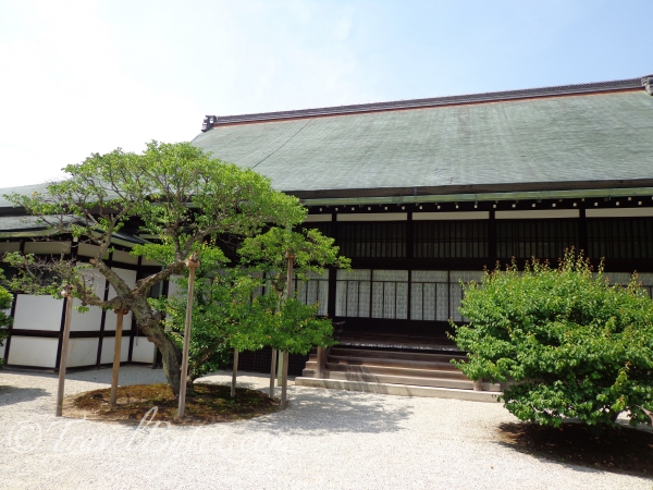 Sentō Imperial Palace (仙洞御所 Sentō Gosho) Tour