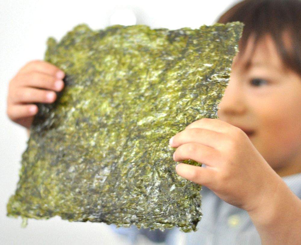 Dried Seaweed Suppliers Products Online and Offline Indonesia Seaweed