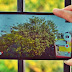 Thay mặt kính Asus Zenfone 2
